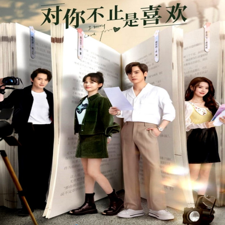 ممکنه عاشقت شده باشم، I May Love You