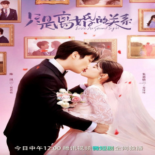 عاشق همسر سابقم شدم Love at Second Sight