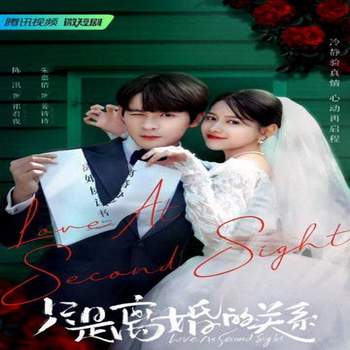عاشق همسر سابقم شدم Love at Second Sight