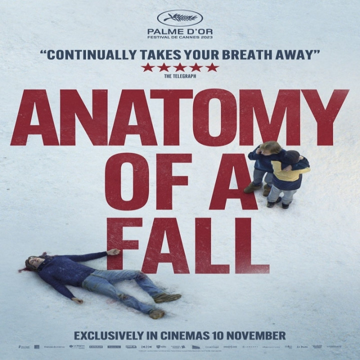 فیلم آناتوی یک سقوط Anatomy of a Fall