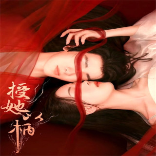 داستان عشق و وفاداری A Tale of Love and Loyalty