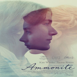 آمونیت Ammonite