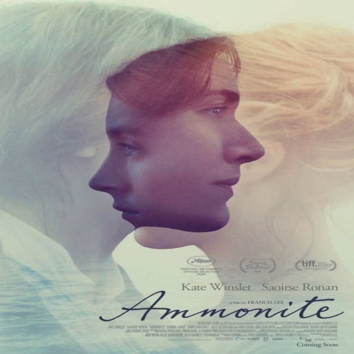 آمونیت Ammonite