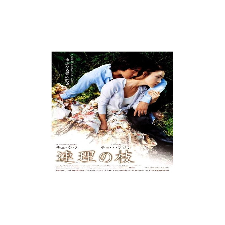 یا حالا یا هرگز