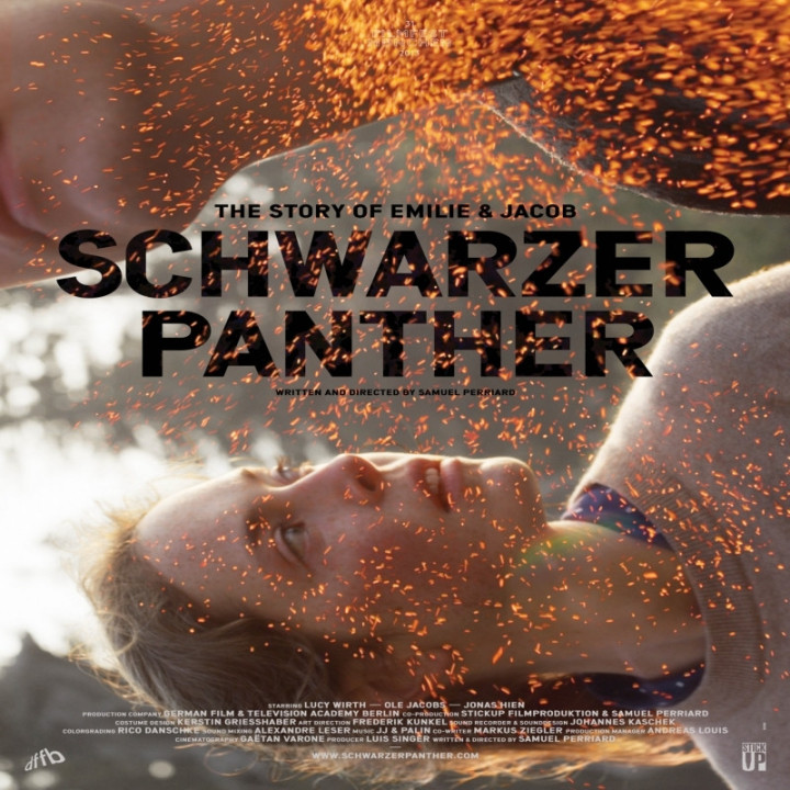 پلنگ مشکی Black Panther - Schwarzer Panther