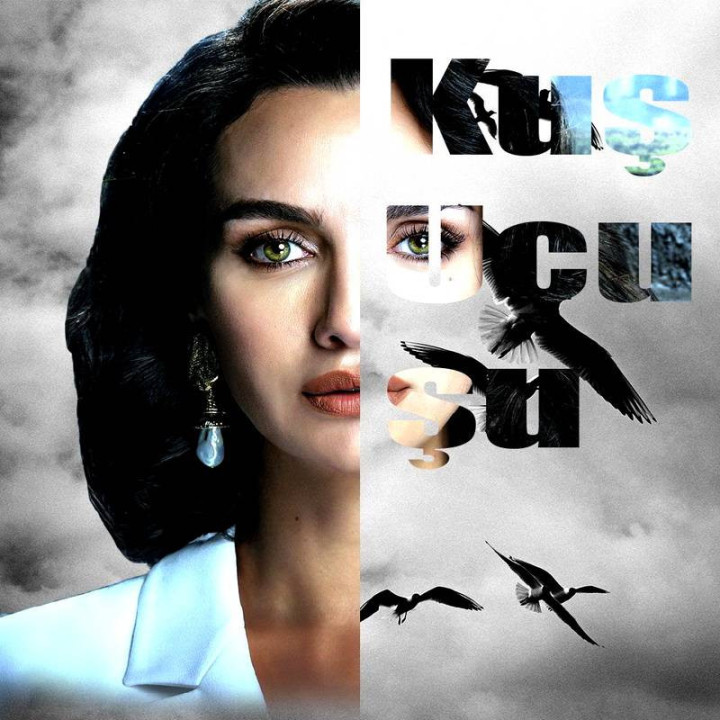 پرواز پرنده ، Kuş Uçuşu