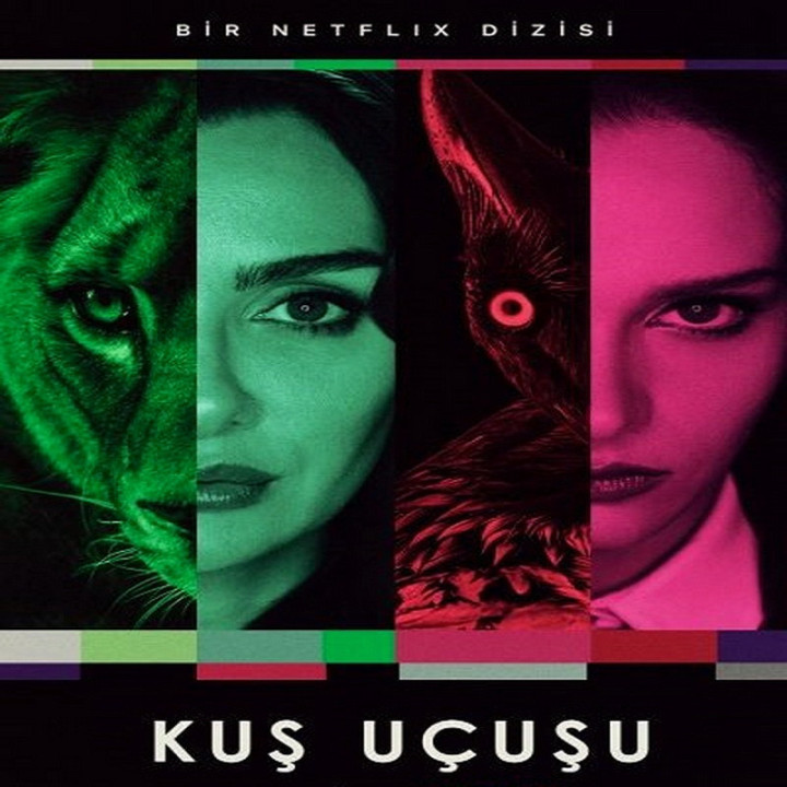 پرواز پرنده ، Kuş Uçuşu