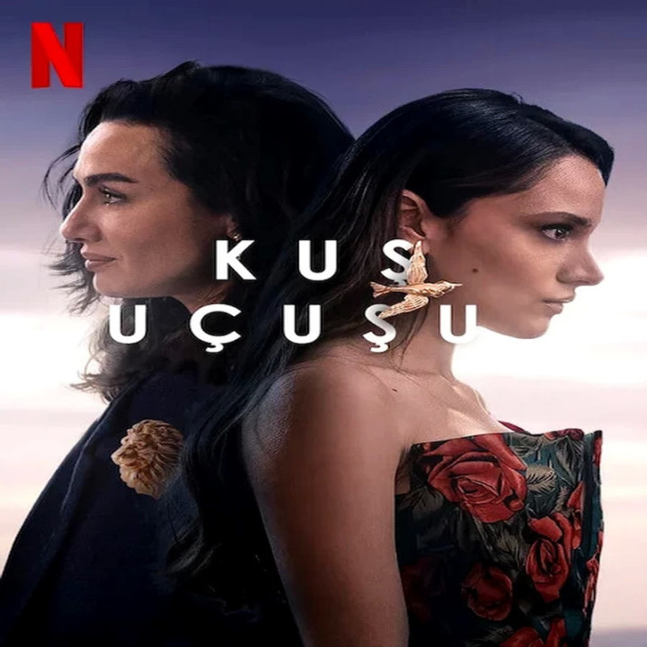 پرواز پرنده ، Kuş Uçuşu