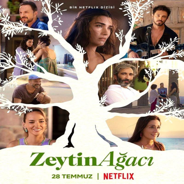 درخت زیتون Zeytin Ağacı