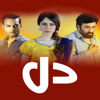 دل، Dil Mom Ka Diya