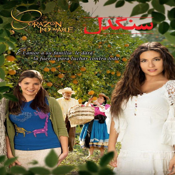 سنگدل corazon indomable