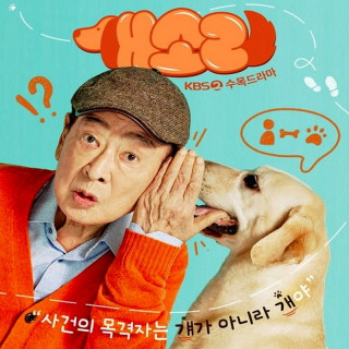 سگ همه چیزو میدونه Dog Knows Everything