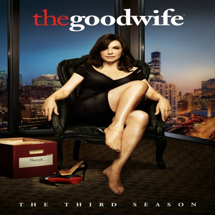همسر خوب The Good Wife