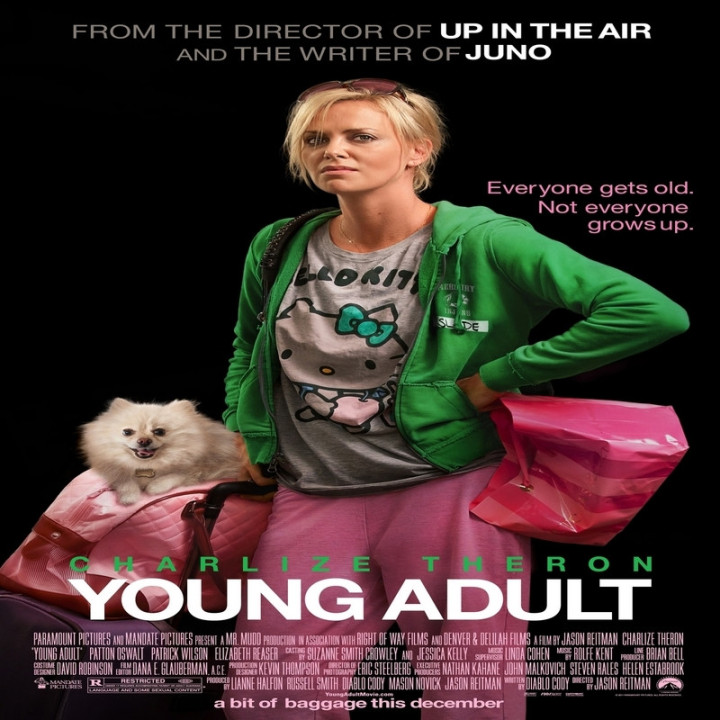 بزرگسال جوان Young Adult