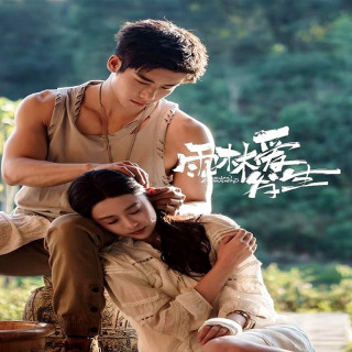 شور و شوق جنگل های بارانی Rainforest Passions