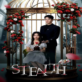 مخفی کاری Stealth