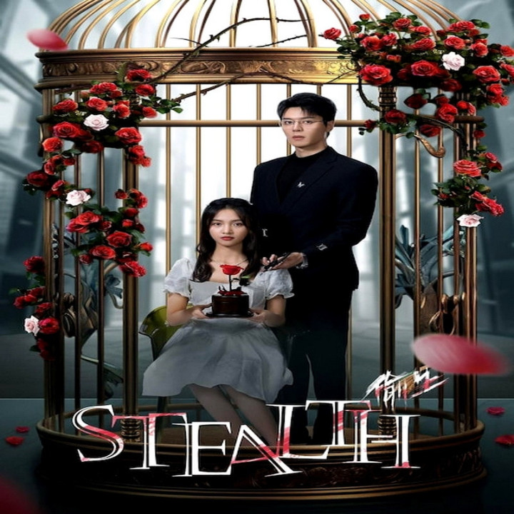 مخفی کاری Stealth