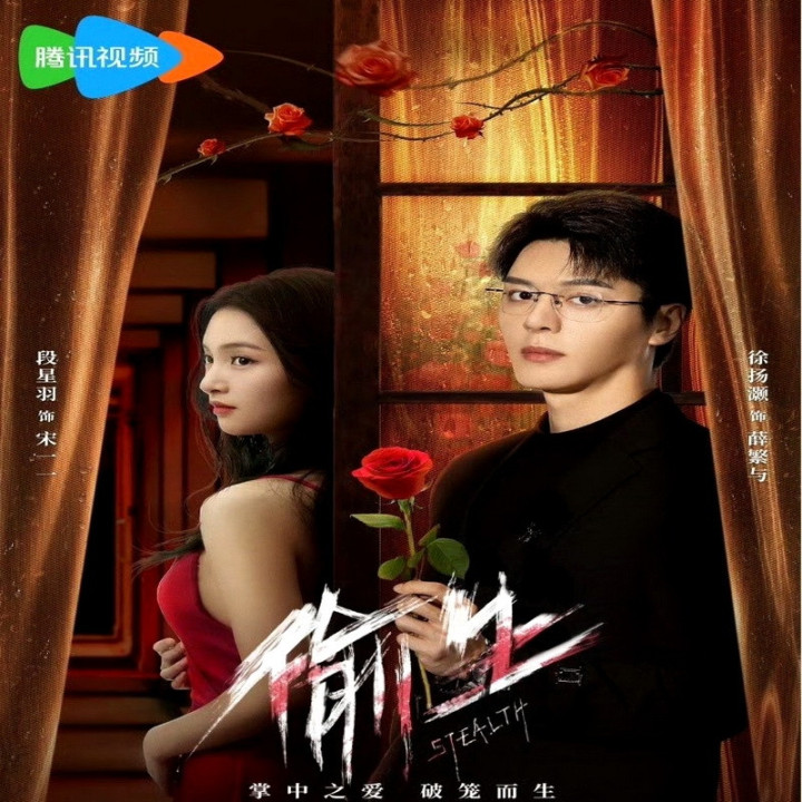 مخفی کاری Stealth