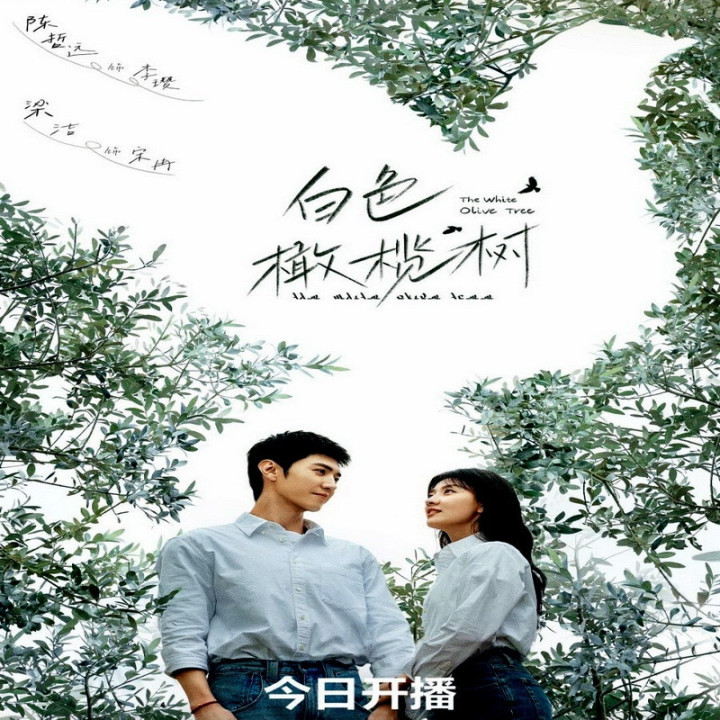 درخت زیتون سفید The White Olive Tree