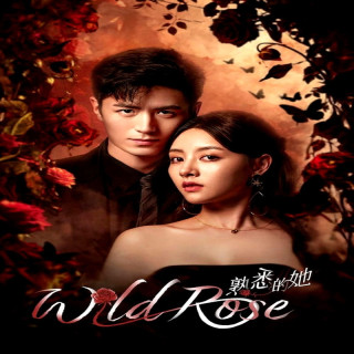رز وحشی Wild Rose
