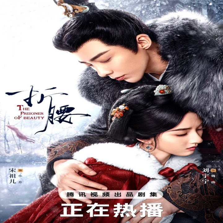 اسیر زیبایی The Prisoner of Beauty (محبوس زیبایی)