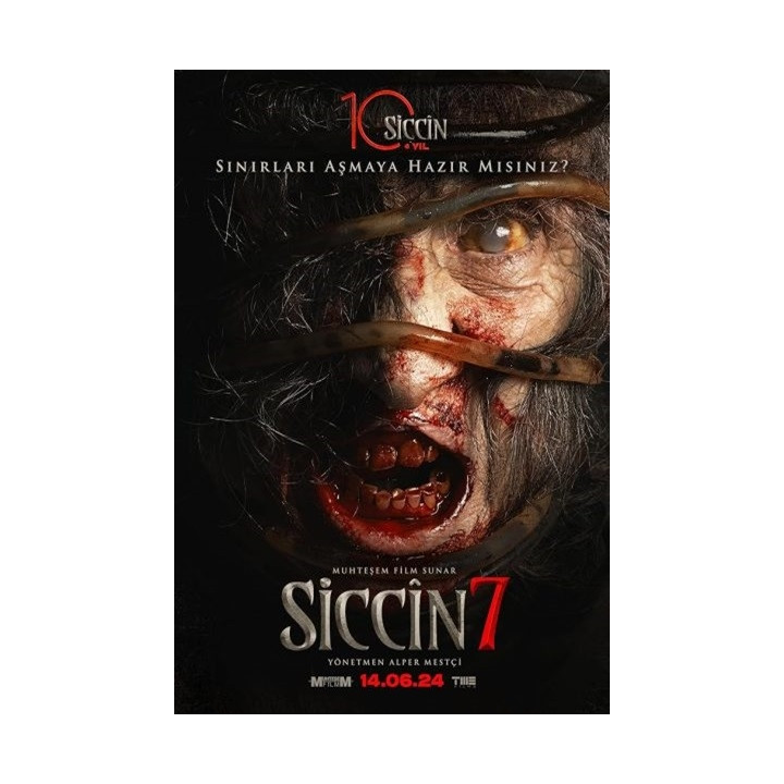 کالکشن فیلم های سجین Sijjin