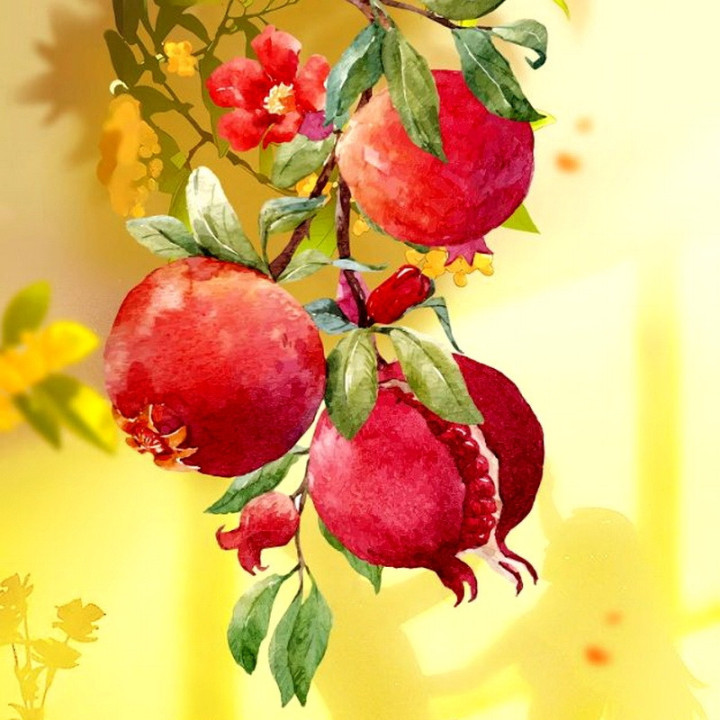 رایحه انارها، عطر ناردون ، Fragrance of the Pomegranates