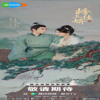 سرندپیتی Serendipity