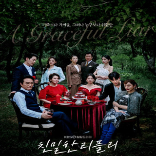 دروغگوی بی نظیر (دروغگوی باوقار) A Graceful Liar