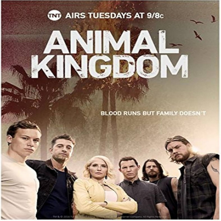 پادشاهی حیوانات Animal Kingdom