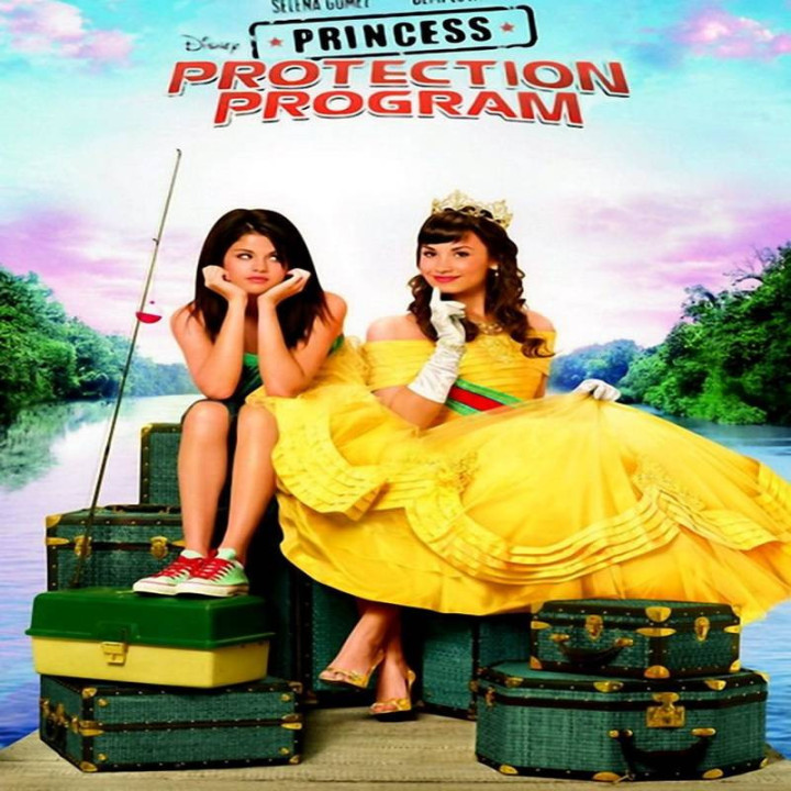 برنامه حفاظت از پرنسس