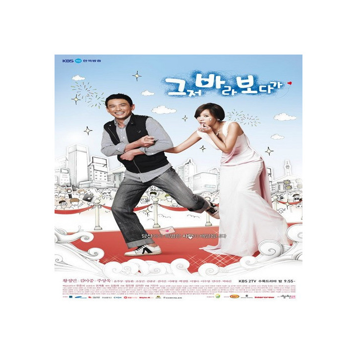 زوج تصادفی The Accidental Couple