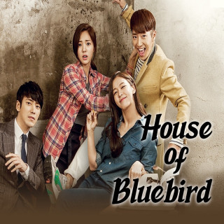 آشیانه پرندگان آبی Blue Bird's House