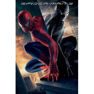 مرد عنکبوتی 3