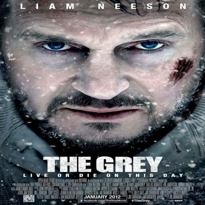 خاکستری The Grey