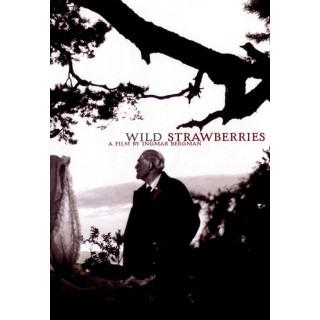 توت فرنگیهای وحشی