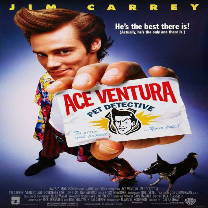 کارآگاه حیوانات Ace Ventura: Pet Detective