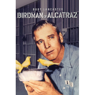 پرنده باز آلکاتراز Birdman of Alcatraz
