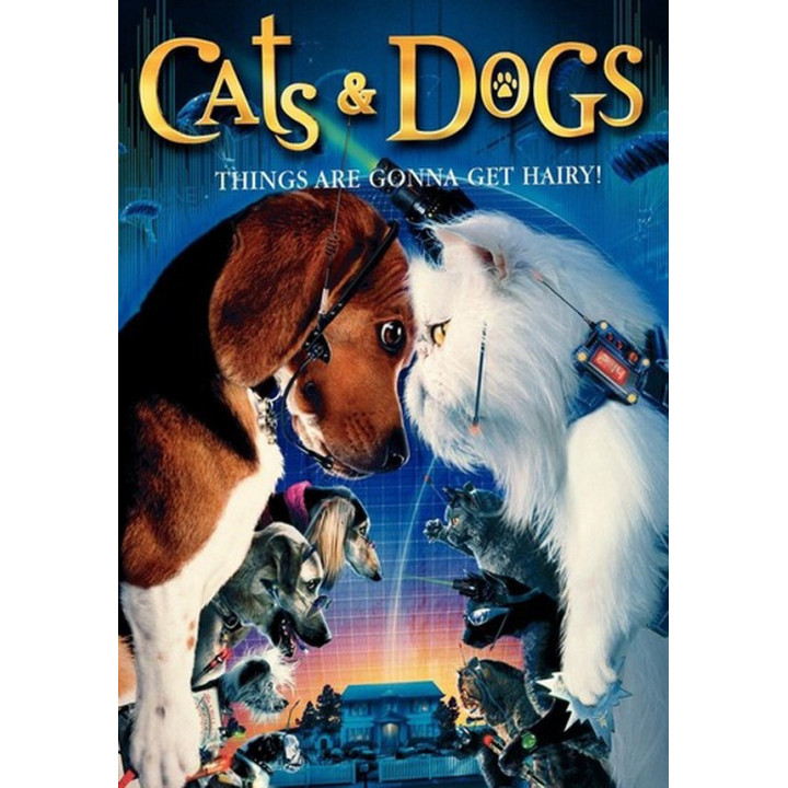 گربه ها و سگها