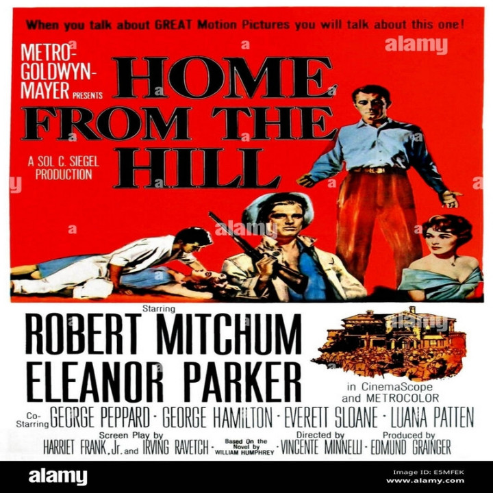 خانه جهنمی Home From the Hill