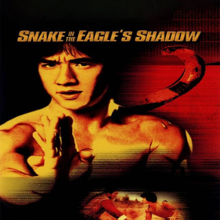 مار در سایه عقاب Snake In The Eagles Shadow