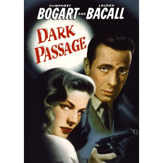 گذرگاه تاریک