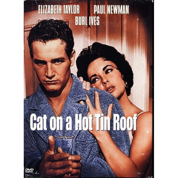 گربه ای روی شیروانی داغ