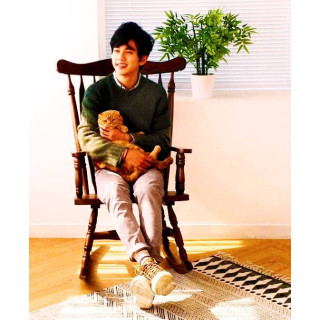 گربه خیالی Imaginary Cat