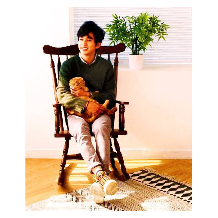 گربه خیالی Imaginary Cat