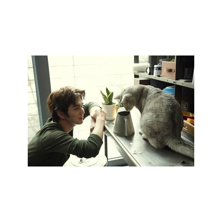 گربه خیالی Imaginary Cat