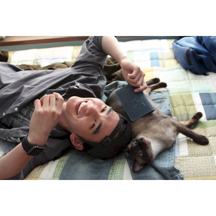 گربه خیالی Imaginary Cat