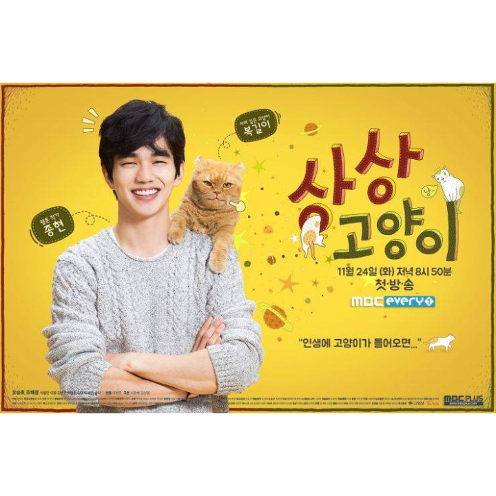 گربه خیالی Imaginary Cat