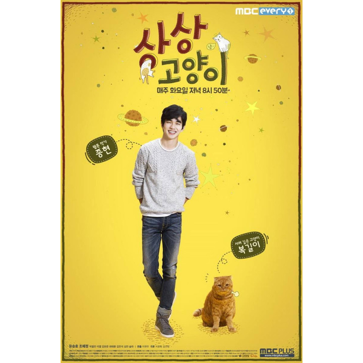 گربه خیالی Imaginary Cat