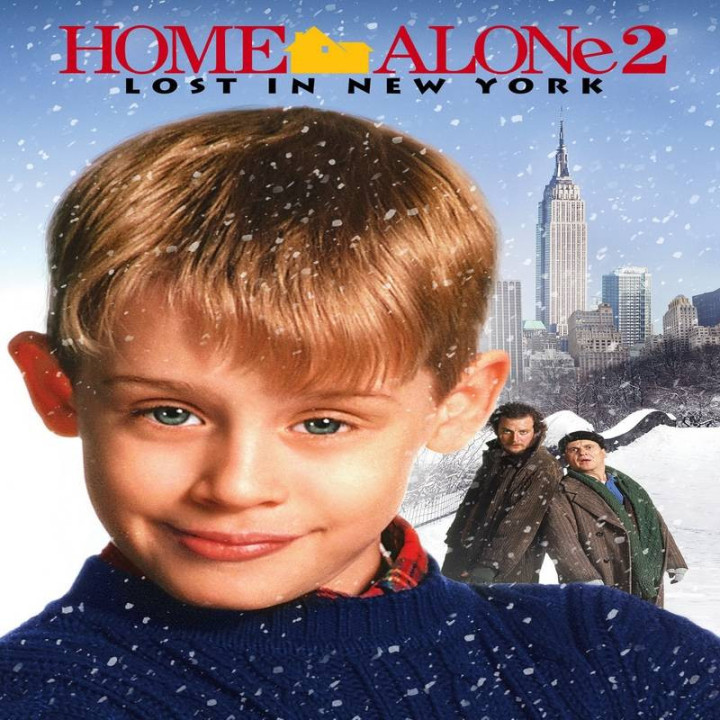 تنها در خانه 2 Home Alone 2: Lost In New York